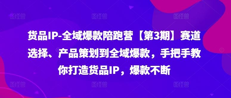 货品IP全域爆款陪跑营【第3期】赛道选择、产品策划到全域爆款，手把手教你打造货品IP，爆款不断-网创学习网