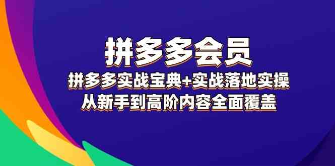 拼多多会员实战宝典+实战落地实操，从新手到高阶内容全面覆盖-网创学习网