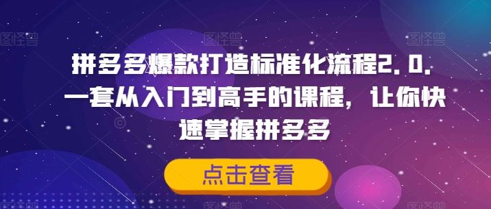 拼多多爆款打造标准化流程2.0，一套从入门到高手的课程，让你快速掌握拼多多-网创学习网