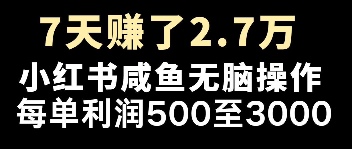 七天赚了2.7万！每单利润最少500+，轻松月入5万+小白有手就行-网创学习网