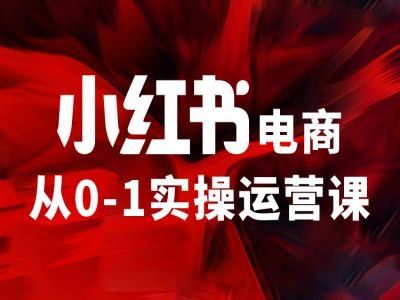 小红书电商从0-1实操运营课，让你从小白到精英-网创学习网