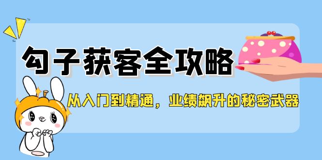 （12247期）从入门到精通，勾子获客全攻略，业绩飙升的秘密武器-网创学习网