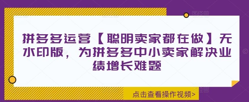 拼多多运营【聪明卖家都在做】无水印版，为拼多多中小卖家解决业绩增长难题-网创学习网