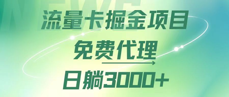 （12321期）流量卡掘金代理，日躺赚3000+，变现暴力，多种推广途径-网创学习网