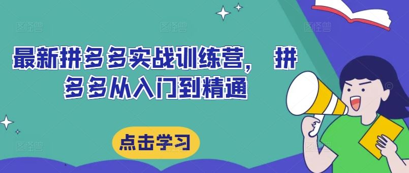 最新拼多多实战训练营， 拼多多从入门到精通-网创学习网