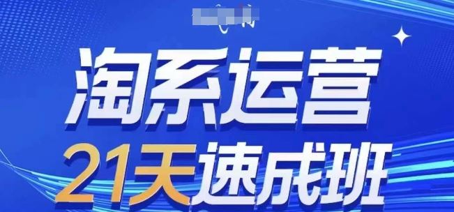 淘系运营21天速成班(更新24年8月)，0基础轻松搞定淘系运营，不做假把式-网创学习网