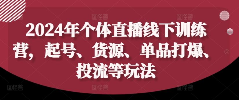 2024年个体直播训练营，起号、货源、单品打爆、投流等玩法-网创学习网