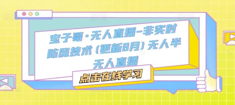 宝子哥·无人直播-非实时防风技术(更新8月)无人半无人直播-网创学习网