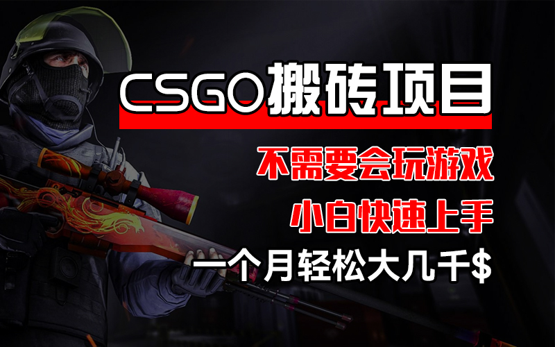 （12332期）CSGO 装备搬砖项目，操作简单，不需要会玩游戏，小白也能快速上手，一…-网创学习网