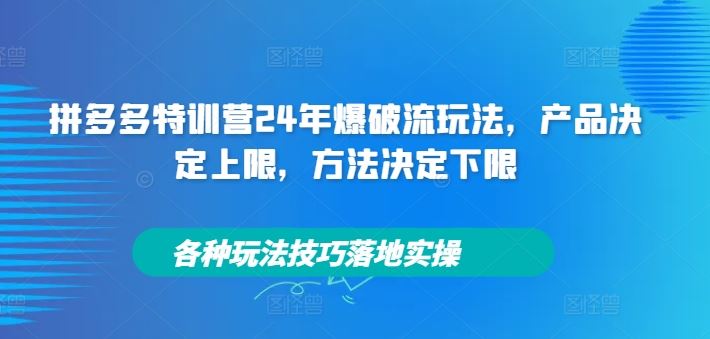 拼多多特训营24年爆破流玩法，产品决定上限，方法决定下限，各种玩法技巧落地实操-网创学习网