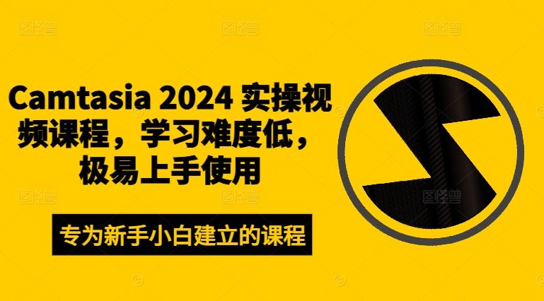 Camtasia 2024 实操视频课程，学习难度低，极易上手使用-网创学习网