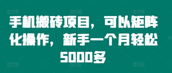 手机搬砖项目，可以矩阵化操作，新手一个月轻松5000多-网创学习网