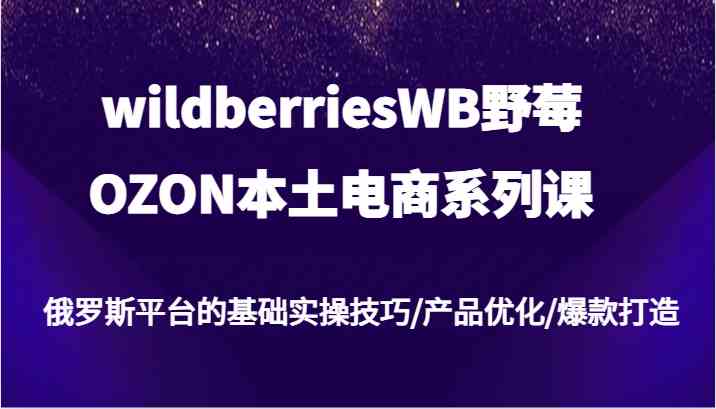 wildberriesWB野莓/OZON本土电商系列课，俄罗斯平台的基础实操技巧/产品优化/爆款打造-网创学习网