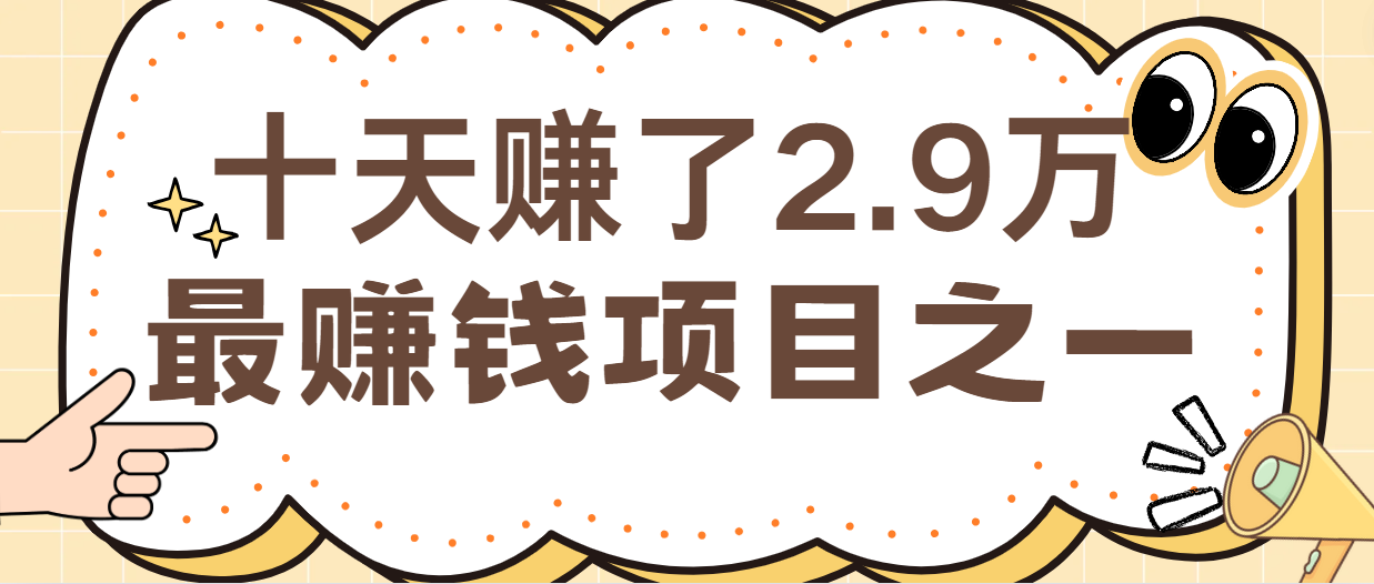 闲鱼小红书最赚钱项目之一，轻松月入6万+-网创学习网