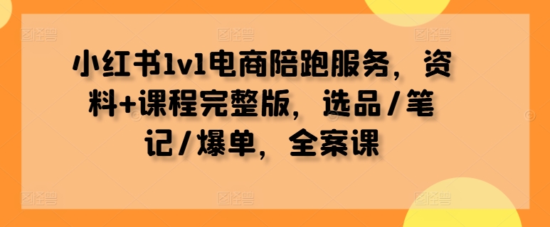 小红书1v1电商陪跑服务，资料+课程完整版，选品/笔记/爆单，全案课-网创学习网