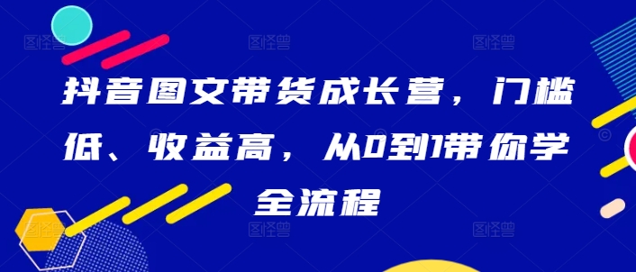 抖音图文带货成长营，门槛低、收益高，从0到1带你学全流程-网创学习网