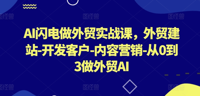 AI闪电做外贸实战课，​外贸建站-开发客户-内容营销-从0到3做外贸AI(更新)-网创学习网